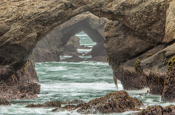 "Seal's Eye View No. 1"  Point Arena-Stornetta Public Lands, Mendocino County, CA