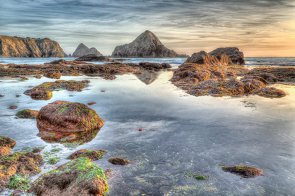 "North Coastal Fantasy No. 1"  Greenwood State Beach, Elk, CA