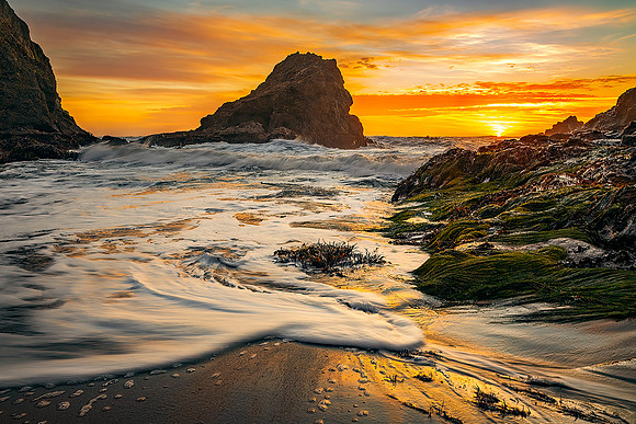 "Incoming!"  Mendocino County, CA