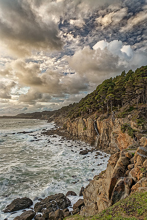 "Near and Far" Salt Point State Park, Sonoma County, CA