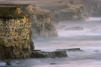 "Mystical Seascape No. 1"  Point Arena-Stornetta Public Lands, Mendocino County, CA